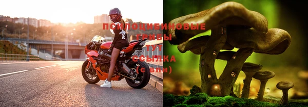 a pvp Сосновый Бор
